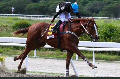 Autorizan el hipismo