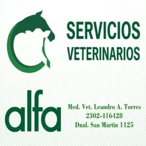 Servicios Veterinarios