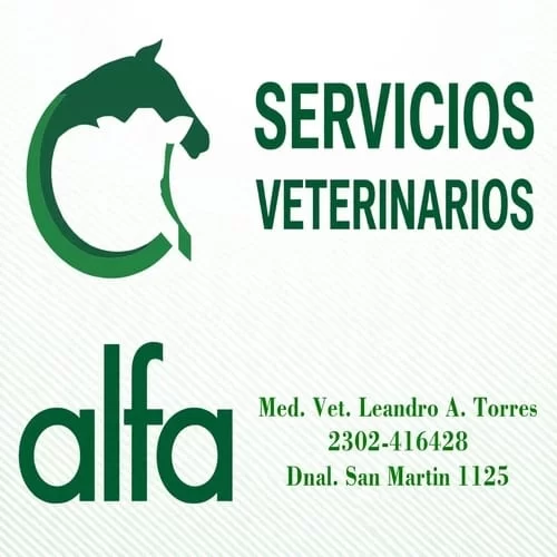 Alfa