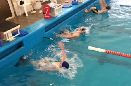 Competencias de Natación en Pico: 11 castenses participaron de la jornada