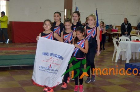 GIMNASIA ARTÍSTICA // Primer Selectivo en Castex: Todos los resultados de las gimnastas del Club Estudiantil
