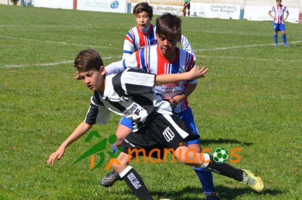 INFERIORES // Matienzo-Estudiantil postergado: Así se juegan los cuartos…