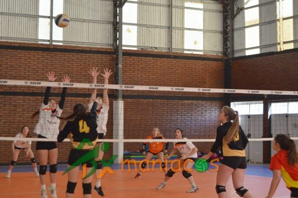 LIGA PROVINCIAL DE VOLEY // Todas las categorías en el Coliseo Albo