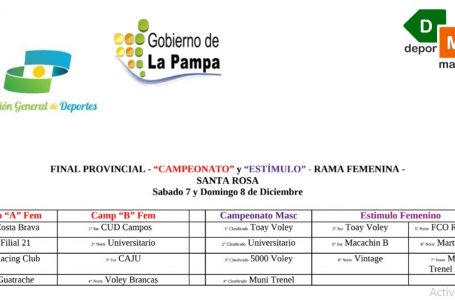 Se vienen las finales