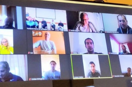 Reunión virtual con coordinadores Regionales