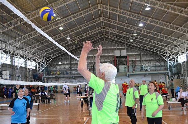 Newcom, Cursos para DT