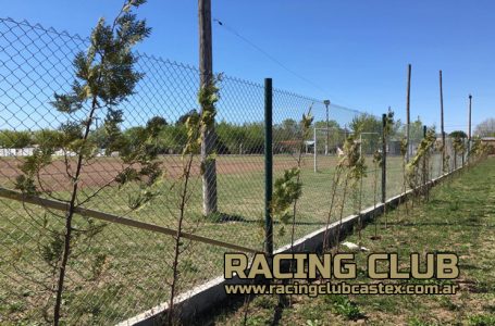 Forestación en Racing