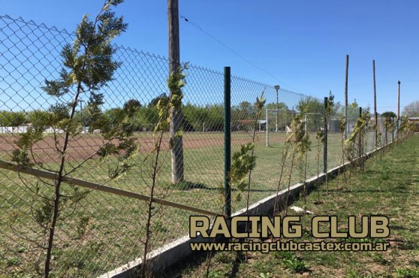 Forestación en Racing