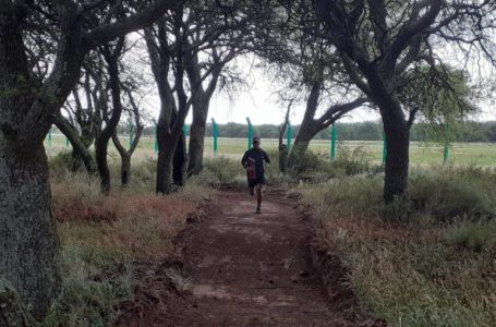 Cambios en el cronograma