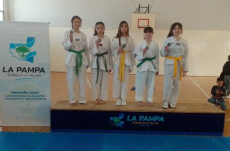 Juegos Evita: el taekwondo tiene clasificados