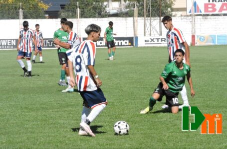 Quinta del Preliminar